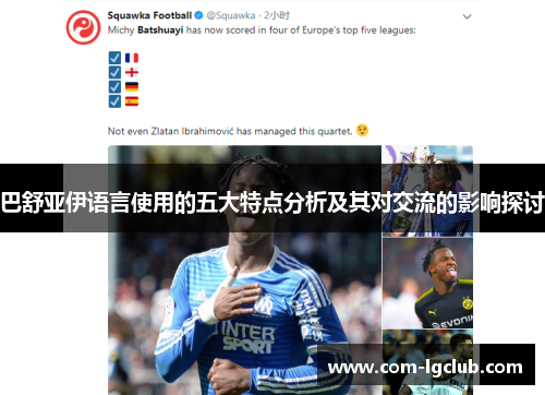 巴舒亚伊语言使用的五大特点分析及其对交流的影响探讨