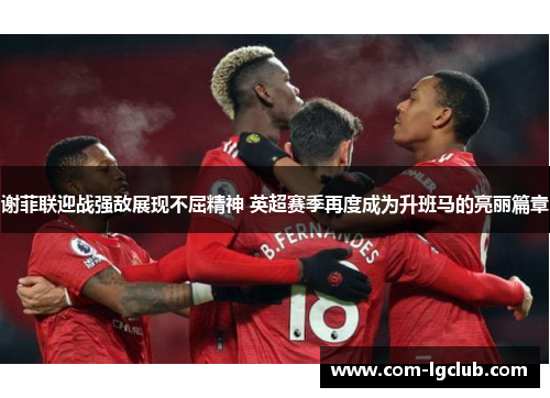 谢菲联迎战强敌展现不屈精神 英超赛季再度成为升班马的亮丽篇章