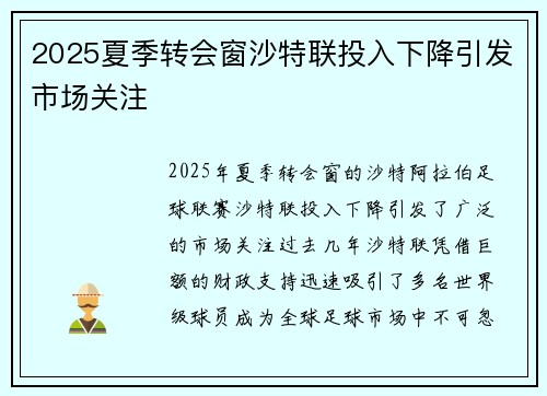 2025夏季转会窗沙特联投入下降引发市场关注 2025夏季转会窗沙特联投入下降引发市场关注